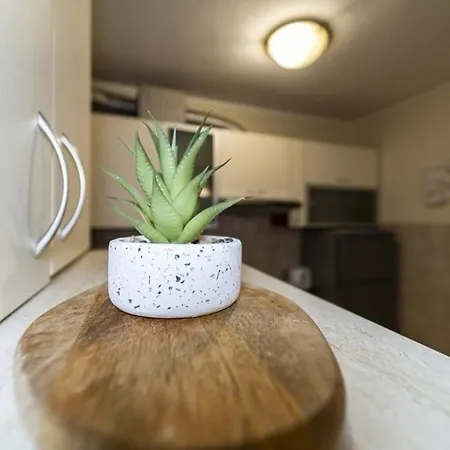 Meta Olive Appartement