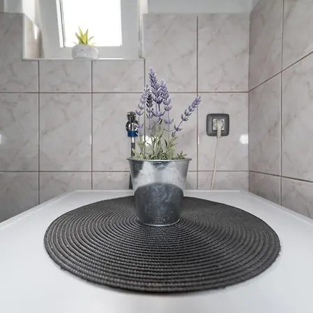 Meta Olive Apartment *
